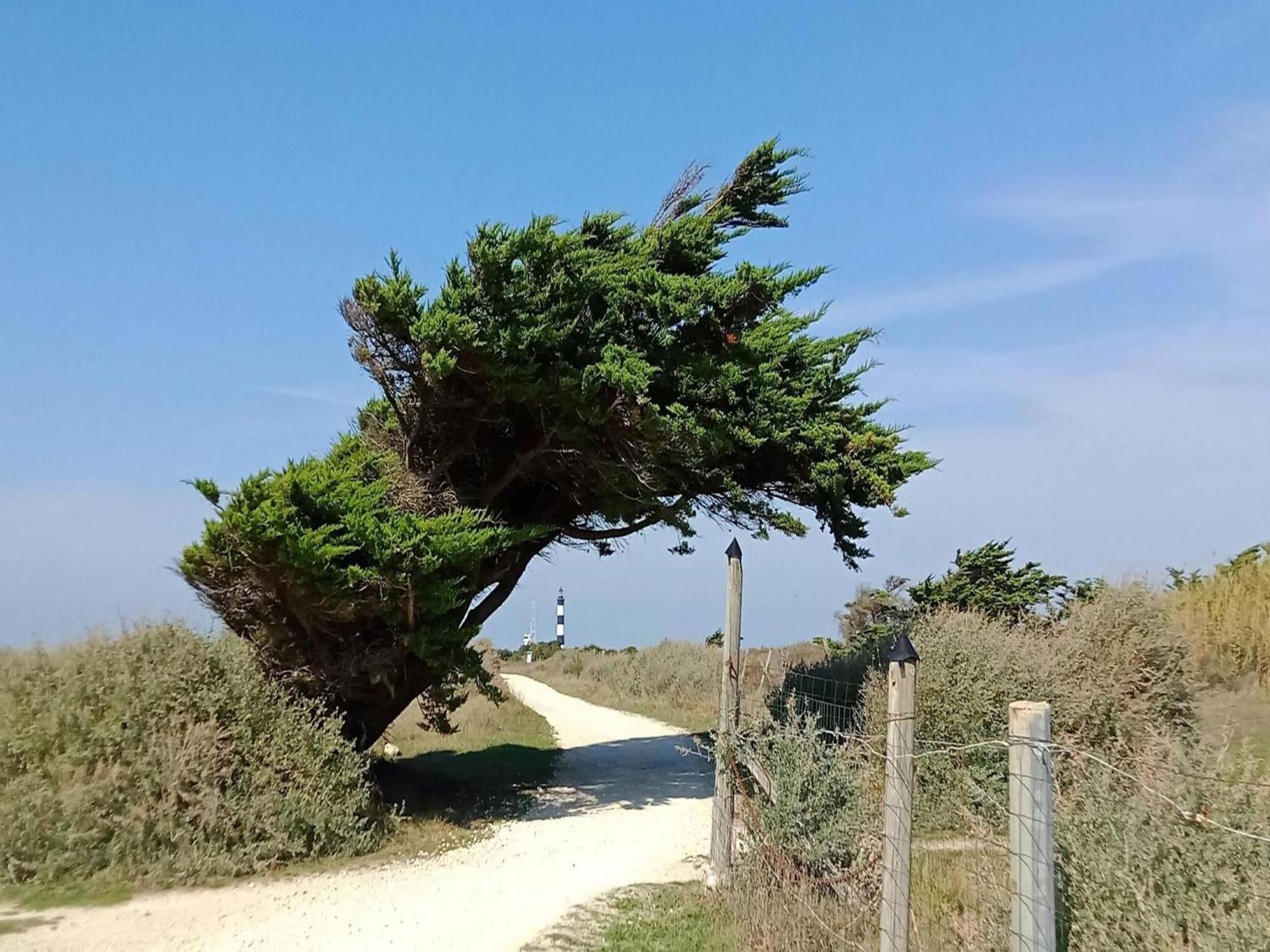 Les Hameaux Des Sables Vignie Saint Georges D Ol Ron Holiday Home Not Detached Eksteriør billede