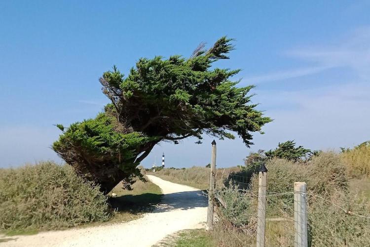 Les Hameaux Des Sables Vignie Saint Georges D Ol Ron Holiday Home Not Detached Eksteriør billede